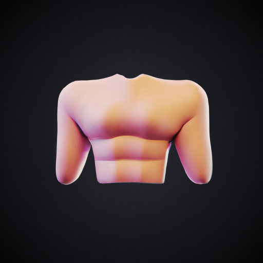 muscle
