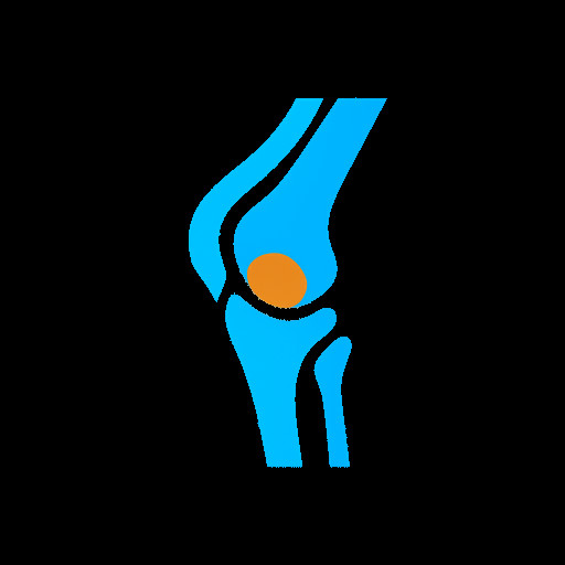 Minimal biomechanical app icon.
Abstract knee joint using simple curves and shapes.
Flat vector, blue tones with one orange focal point.
Digital twin concept, clean medical software style.
No text, no detail, white background.
