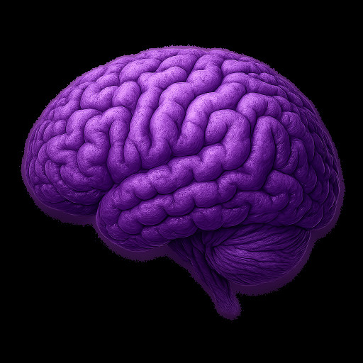 Brain
